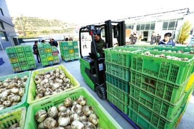 開啟供應鏈新模式，蘭州特色農產品走出新路子助力鮮活水產品發(fā)展