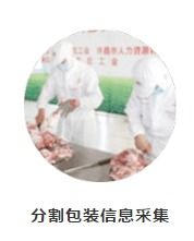 農(nóng)產(chǎn)品質(zhì)量安全追溯系統(tǒng) 深圳網(wǎng)站建設推廣在鮮活水產(chǎn)品領(lǐng)域的應用與價值