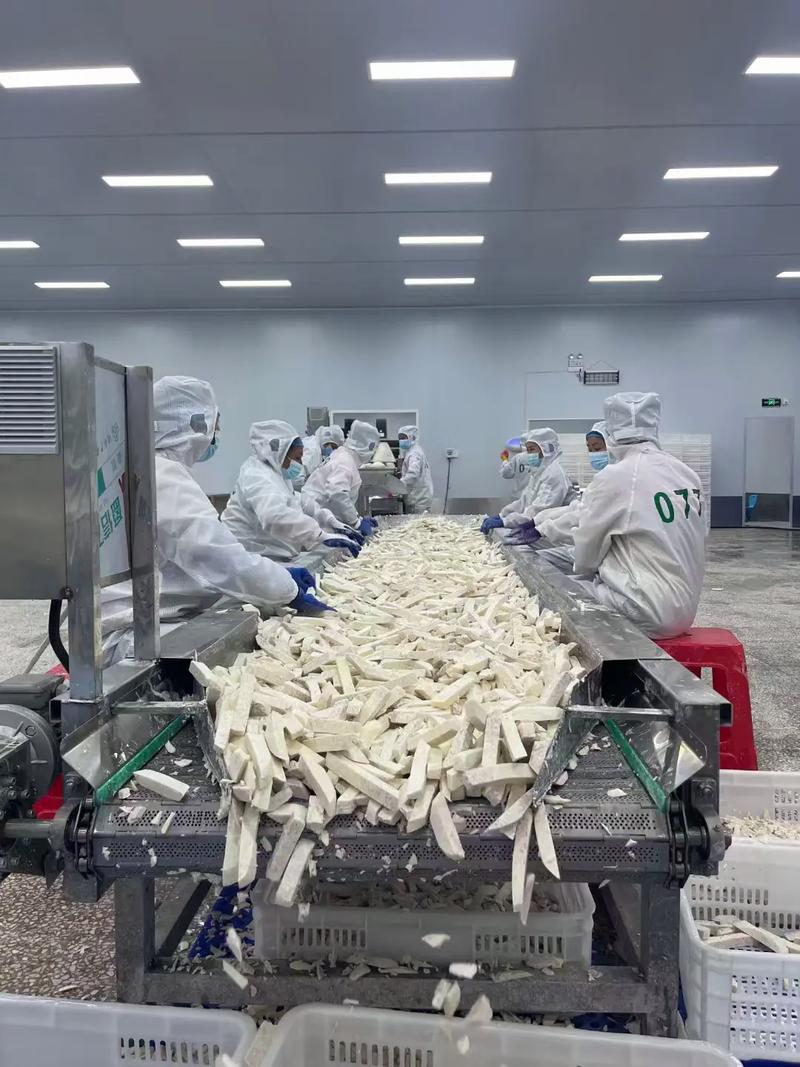 世界長壽之鄉·中國香芋之鄉 芋頭產業鏈與鮮活水產品的綠色交響