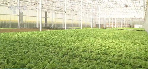 科技賦能，鮮活水產品提質增效 新裝備引領現代農業新篇章