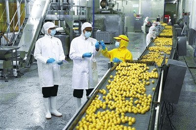 中國預制菜產業全面起航 賦能農業升級，打造舌尖上的新經濟