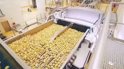 佳盛企智“共享工廠” 創新農產品深加工，引領產業新變革