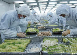日食品、農產品出口穩中有升 亞洲市場成增長新引擎