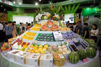 打造鮮活水產品區域公用品牌的三大關鍵環節